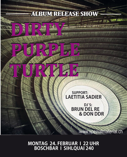 Dirty Purple Turtle